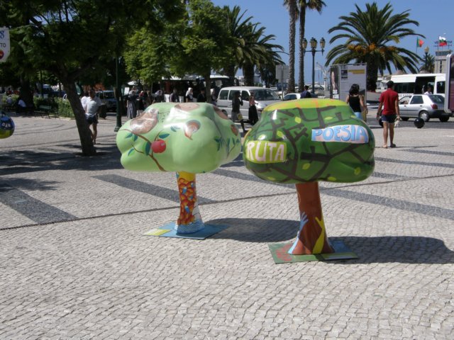 spainportugal2008.jpg