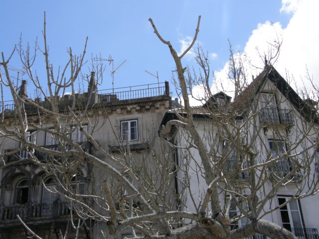 spainportugal2008229.jpg