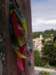 spainportugal2008240_small.jpg