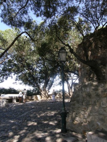 spainportugal2008376.jpg