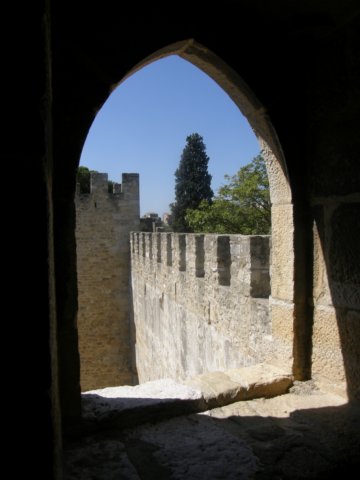 spainportugal2008402.jpg