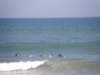 spainportugal2008497_small.jpg