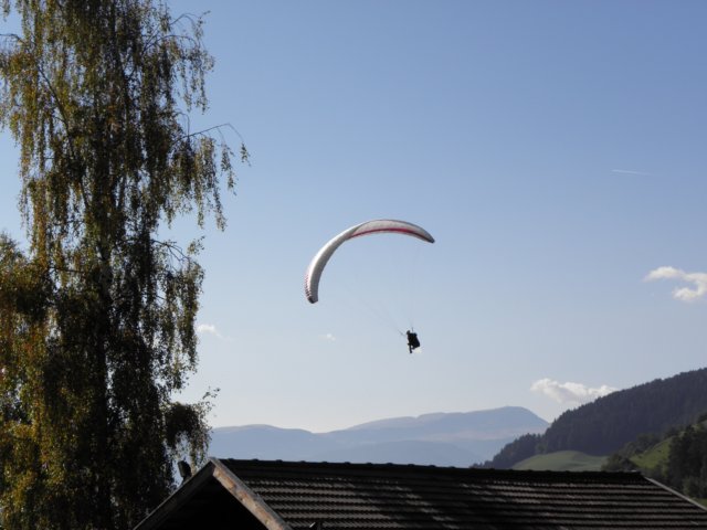 speckfest201126.jpg