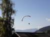 speckfest201126_small.jpg