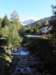 speckfest201142_small.jpg