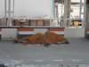 thailand20091011_small.jpg