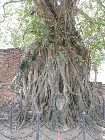 thailand20091039.jpg