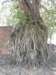 thailand20091039_small.jpg