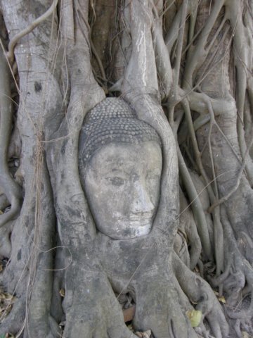 thailand20091040.jpg