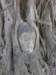 thailand20091040_small.jpg