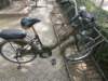 thailand20091048_small.jpg