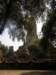 thailand20091054_small.jpg