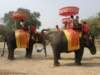 thailand20091055_small.jpg