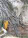 thailand20091059_small.jpg