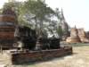 thailand20091064_small.jpg