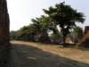 thailand20091072_small.jpg