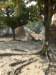 thailand20091073_small.jpg