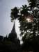 thailand20091076_small.jpg