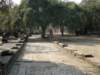 thailand20091077_small.jpg