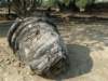 thailand20091081_small.jpg