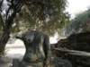 thailand20091082_small.jpg