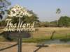 thailand20091089_small.jpg
