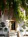 thailand200910116_small.jpg