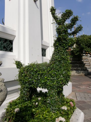 thailand200910124.jpg