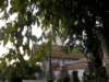 thailand200910142_small.jpg