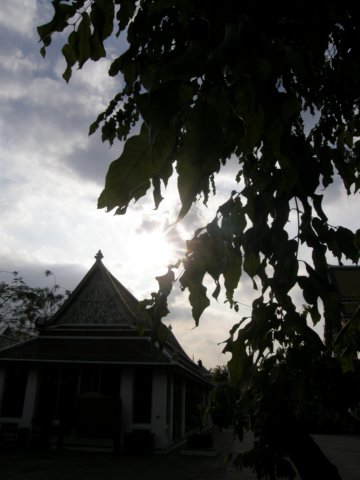 thailand200910143.jpg