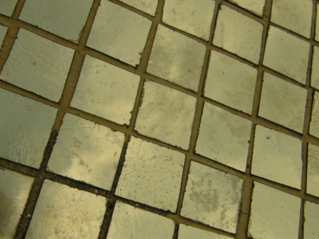 thailand20091064.jpg