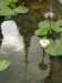 thailand20091071_small.jpg