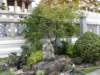 thailand20091079_small.jpg