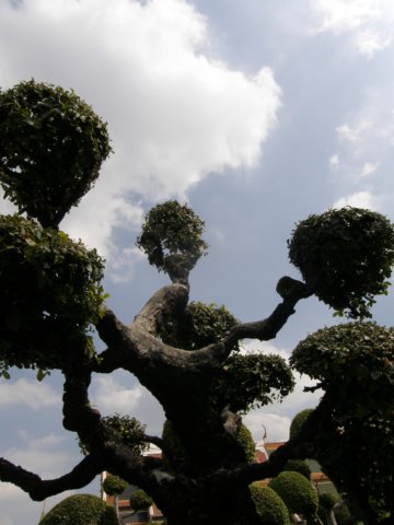 thailand20091097.jpg