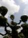 thailand20091097_small.jpg