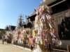 thailand20091036_small.jpg