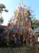 thailand20091039_small.jpg