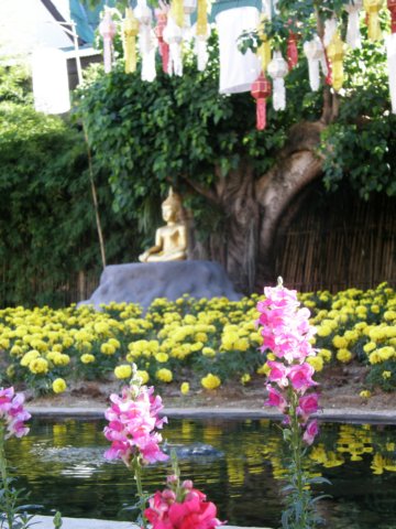 thailand20091040.jpg