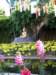 thailand20091040_small.jpg