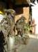 thailand20091056_small.jpg