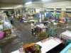 thailand2009108_small.jpg