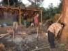 thailand200910100_small.jpg