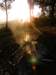 thailand200910103_small.jpg