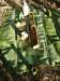 thailand200910106_small.jpg