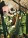 thailand200910108_small.jpg