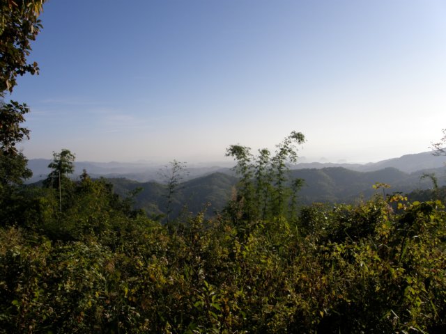 thailand200910110.jpg