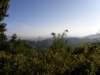 thailand200910110_small.jpg