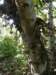 thailand200910113_small.jpg