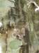thailand200910114_small.jpg