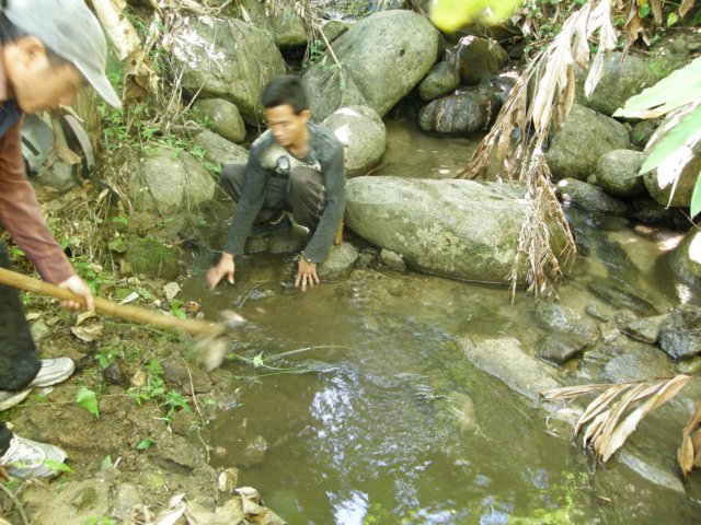 thailand200910117.jpg